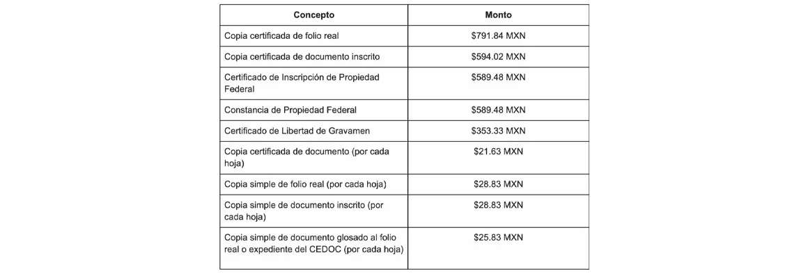 Costos_en_la_expedicion_de_constancias_registrales_dd2963c365_resultado.webp