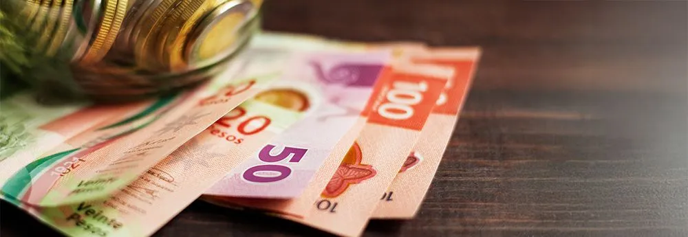 large_Elegir_entre_financiamiento_o_contado_segun_tu_perfil_financiero_872b86d46e_resultado.webp